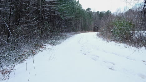 Schneebedeckte-Unbefestigte-Straße-Oder-Pfad-Im-Wald-Mit-Spuren-Im-Schnee