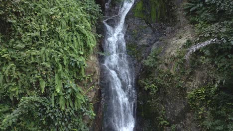 ascending low angle medium drone shot of a beautiful waterfall hidden in the tropical rainforest jungle