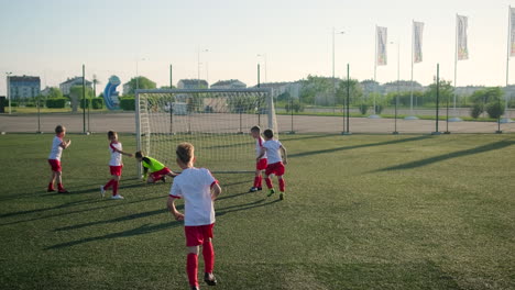 young soccer players in action