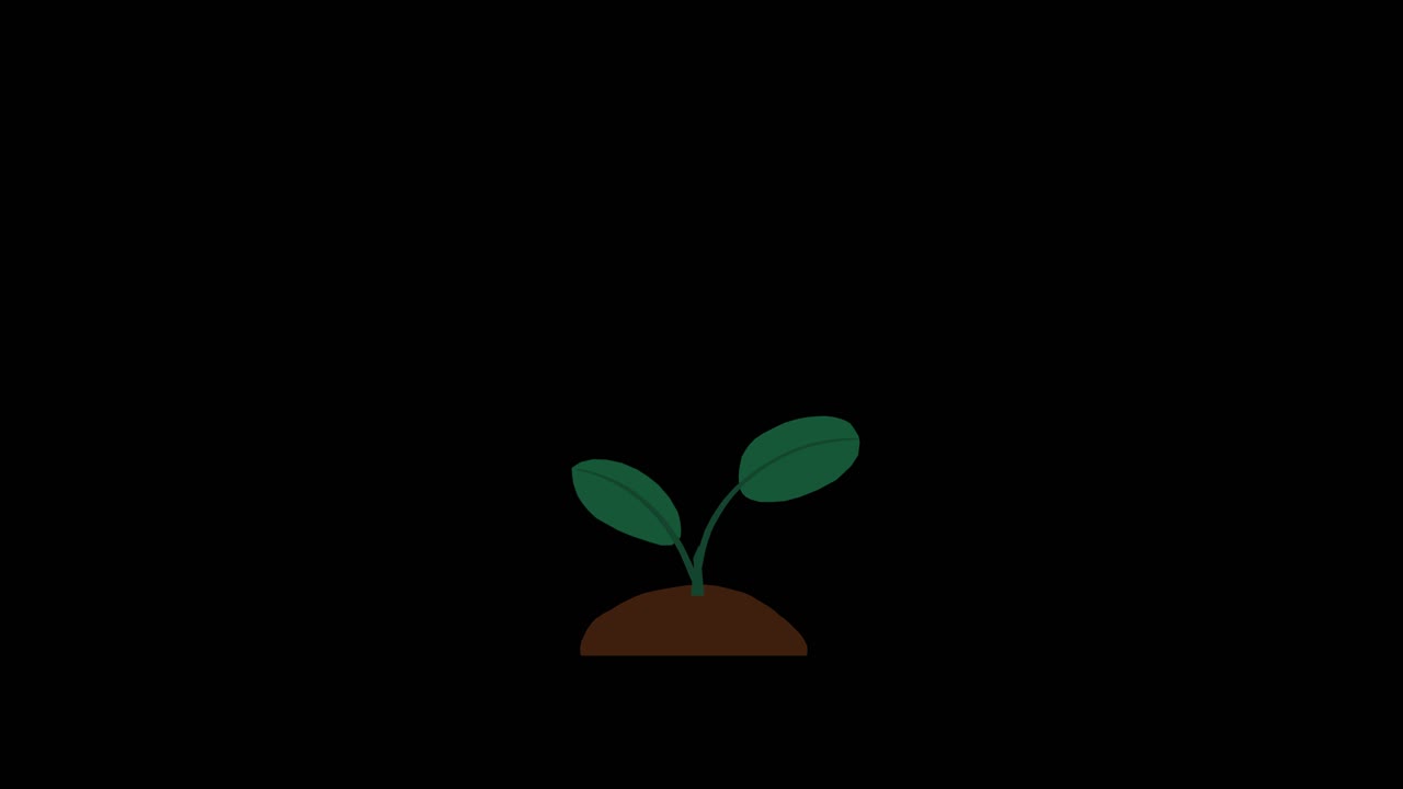 Plant with 2 leaves grows and germinates on dirt mound on black background overlay