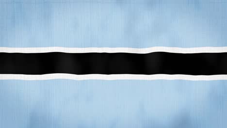 loop, real looking fabric texture and wavy botswana flag animation