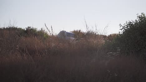 Car-driving-through-thick-mountain-bushes