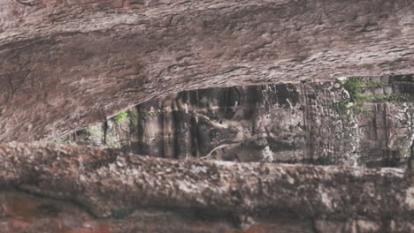 Buddha-Gesicht-Enthüllt-Sich-Zwischen-Bäumen