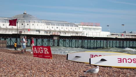 seagull near lifeguard training signs on beach