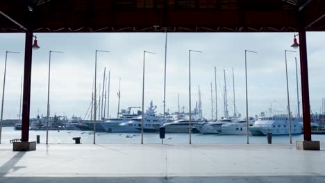 yachts in a marina on a cloudy day