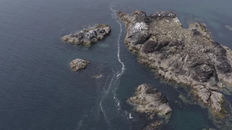 Las-Suaves-Olas-Lamen-La-Costa-Rocosa-De-Las-Islas-Irregulares-Frente-A-La-Costa-En-El-Mar