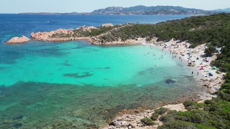 La-Isla-De-La-Maddalena,-Caprera,-Cerdeña---Los-Turistas-Nadan-Y-Se-Relajan-En-La-Playa-De-Cala-Andreani-Y-En-La-Bahía-Azul---4k-Aéreos-Dando-Vueltas