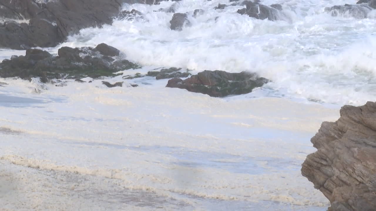 Ocean Foam on the Beach