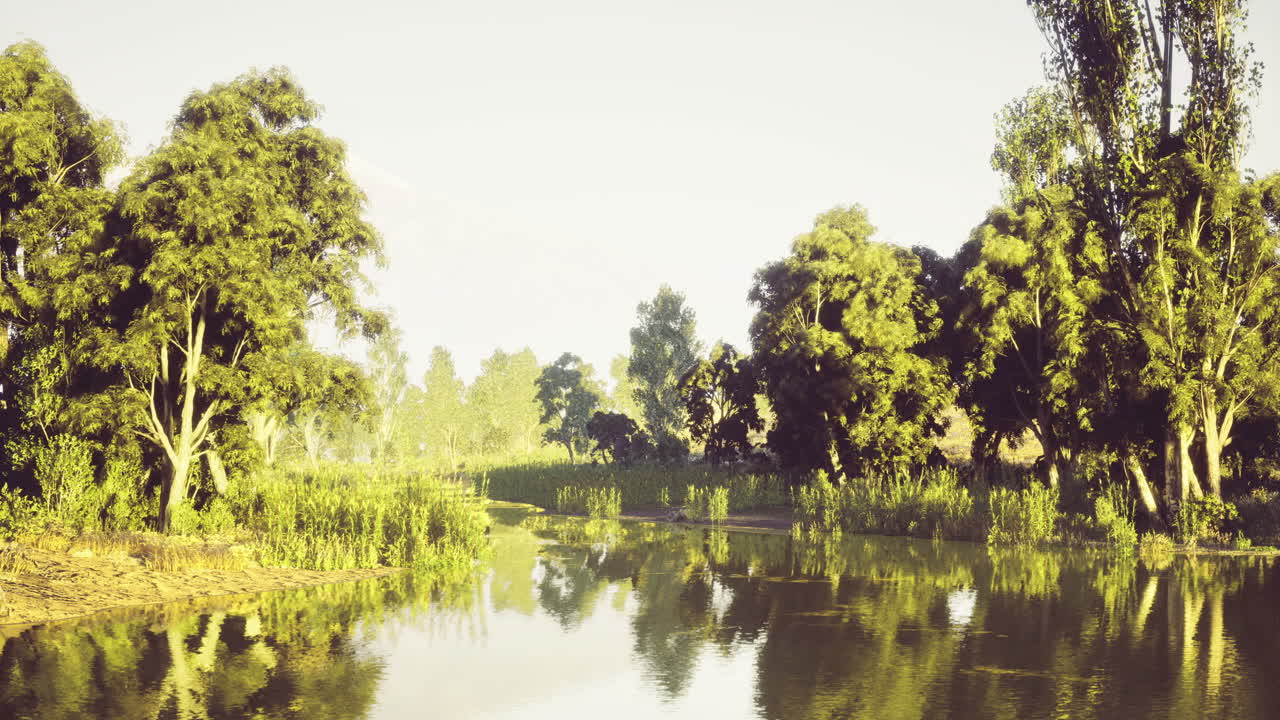 Beautiful serene landscape with lush trees and reflective water body