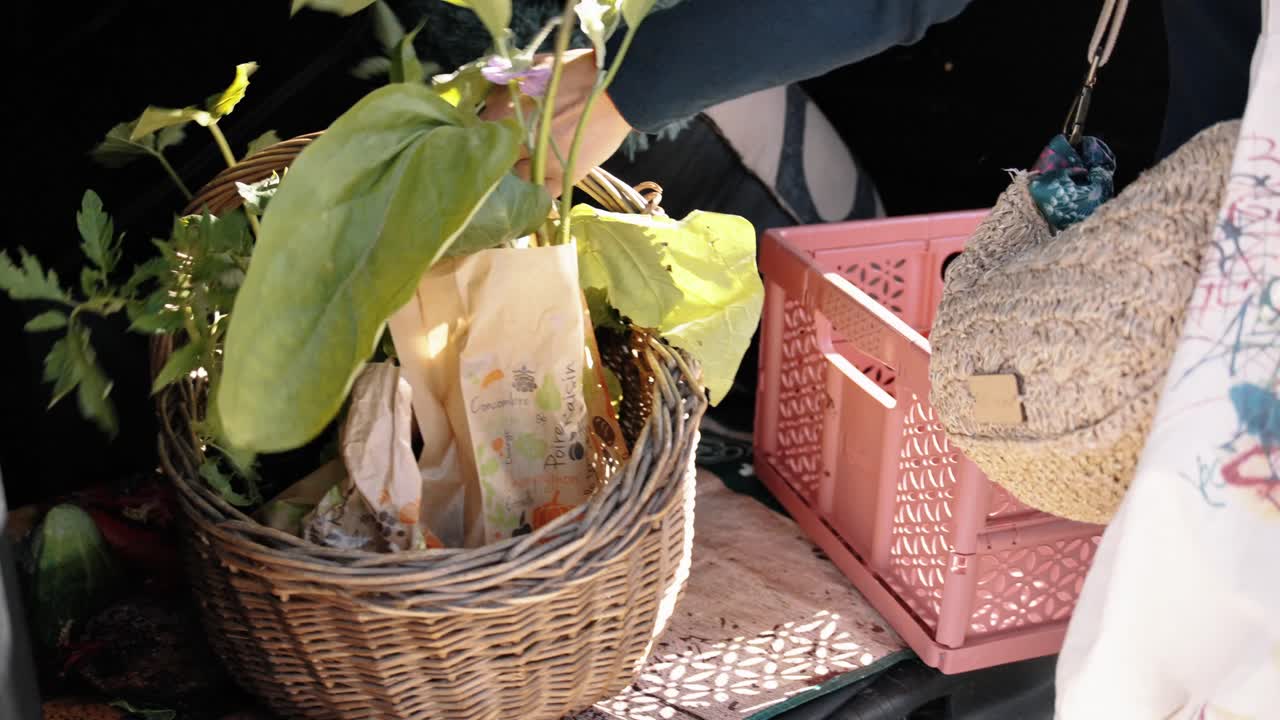 Woman loads leafy market haul into car after shopping