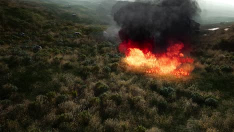 fuego rojo en la hierba seca