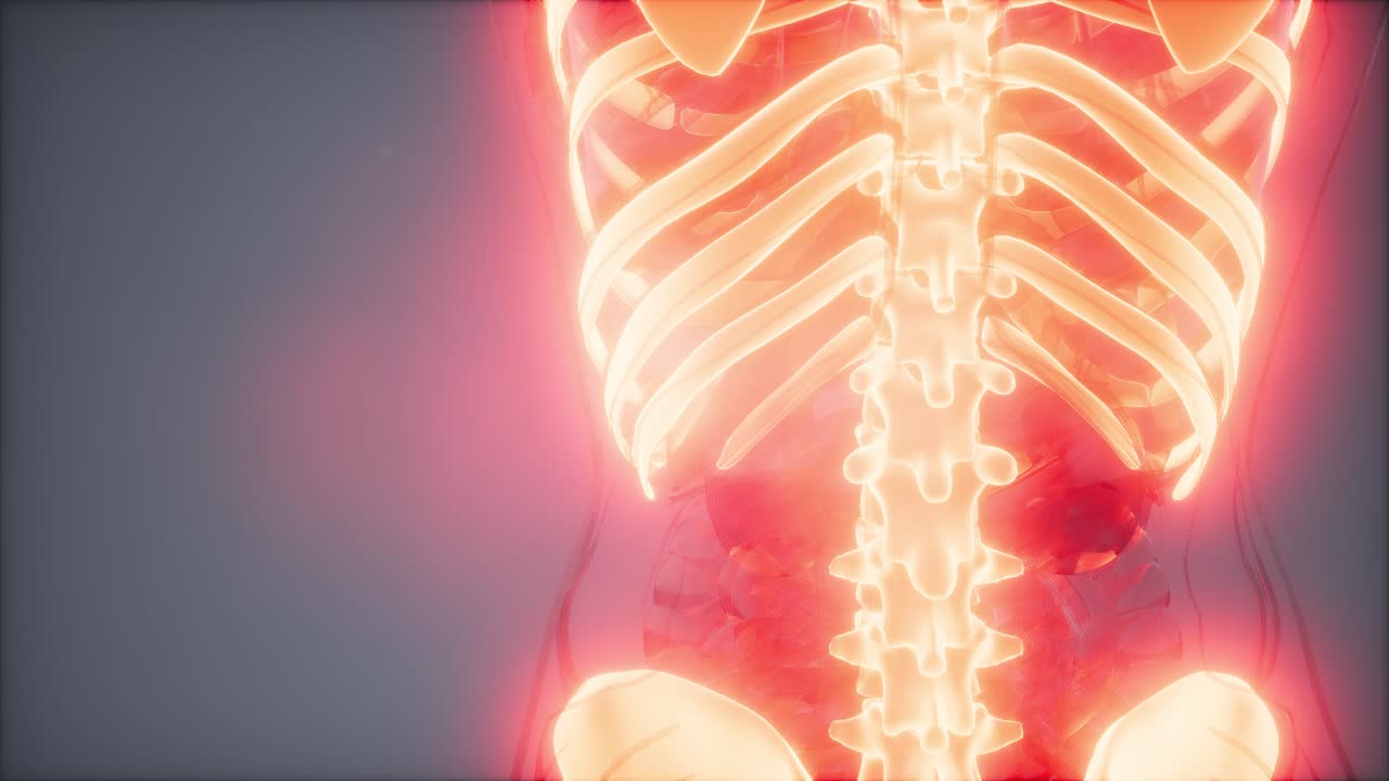 눈에 띄는  ⁇ 가 있는 투명한 인간 몸