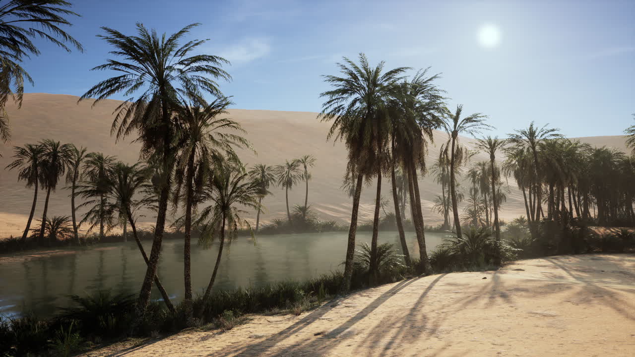 나무와 물이 있는 사막 오아시스