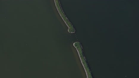 vista desde un avión no tripulado de tulpeiland en zeewolde forma de un tulipán, aérea
