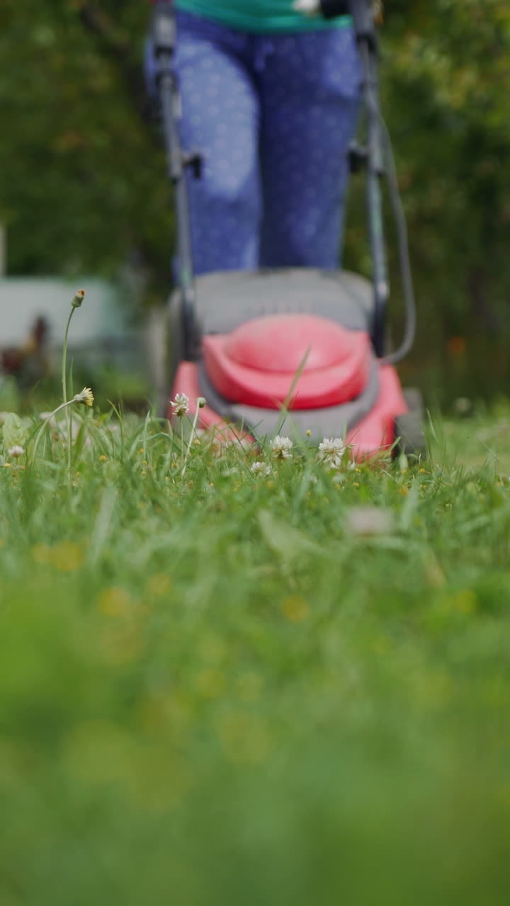 woman is mowing the grass with a lawnmower in the garden in the summer Vertical video