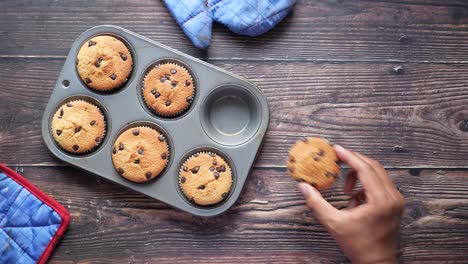 hand placing chocolate chip muffin into pan