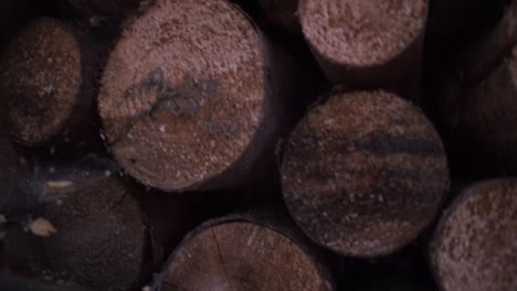 cutted trees stacked up for drying-2