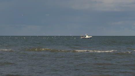 Bandada-De-Gaviotas-Pululando-Barco-Pesquero-En-El-Mar-Estático