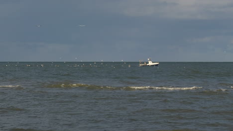 bandada de gaviotas enjambre barco de pesca en el mar estático