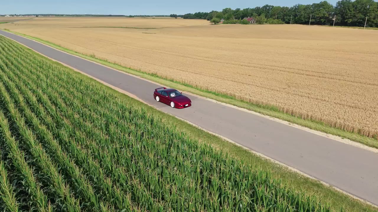 Video di drone mostra un'auto rossa che viaggia lungo una strada stretta che divide campi di mais verde lussureggiante e grano dorato sotto cieli azzurri e sereni. La luce del giorno intensa enfatizza i raccolti contrastanti