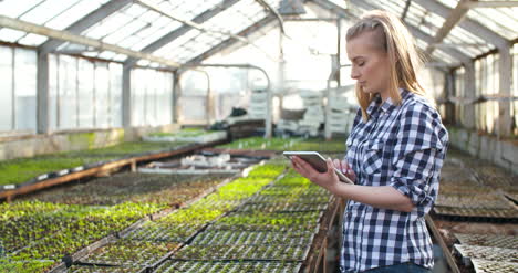 jardinero femenino usando calculadora en agricultura de invernadero agronegocios