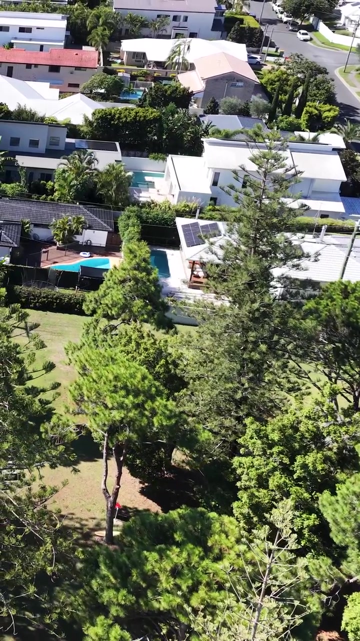 Toma de dron de ángulo alto panea sobre casas residenciales de lujo y densos árboles tropicales en Queensland