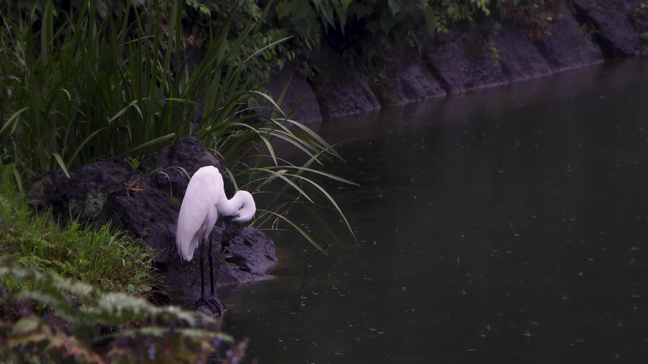 도쿄 최고의 전망