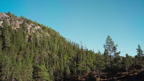 Hildremsvatnet,-Trondelag,-Norway---A-Picturesque-Scene-of-a-Coniferous-Forest---Wide-Shot