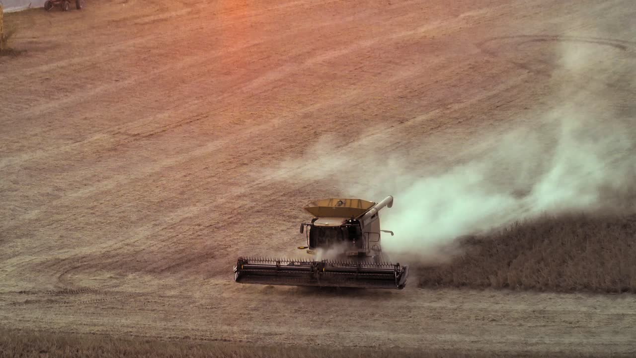 Aerial long zoom of combine harvester in soybean field during golden hour light