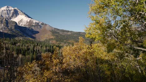 Panoramic-view-of-a-snow-capped-mountain-beyond-the-autumn-colors-of-a-vast-forest