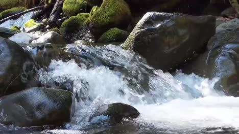 kamera zoomt aus dem wasser heraus, das an einem warmen frühlingstag über moosbedeckte felsen in einem gebirgsbach fließt