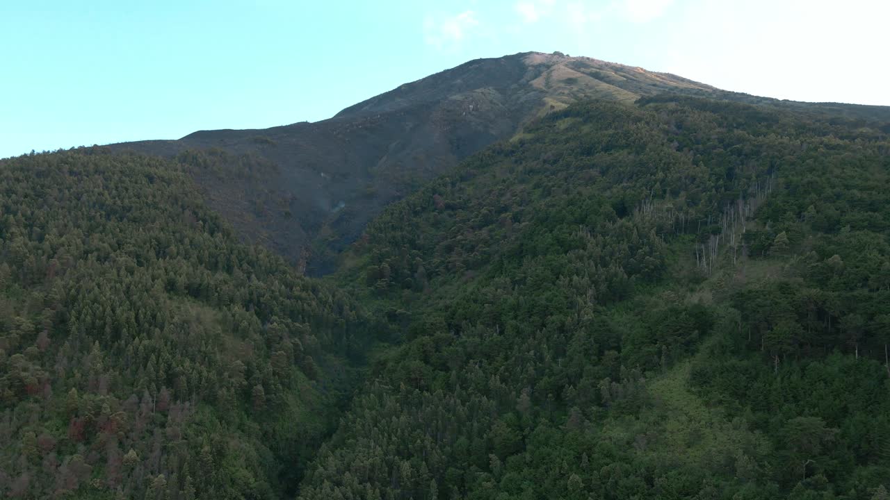 vista aérea que muestra un bosque verde en la ladera de la montaña sambing después de un incendio forestal en asia