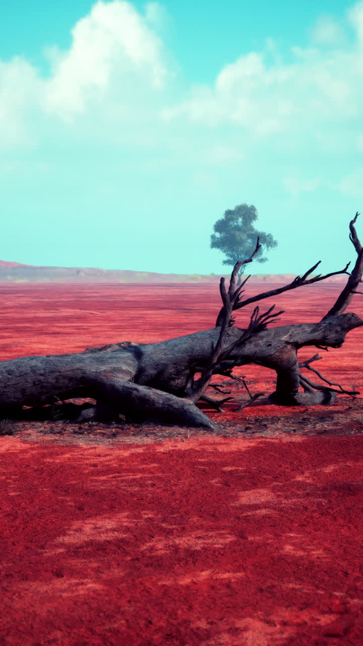 un árbol muerto en un desierto rojo