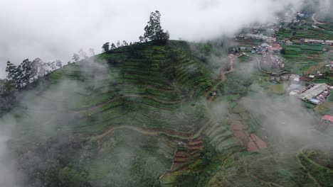 Teelandhügel-In-Sri-Lanka-Mit-Dschungel-Im-Hintergrund-An-Einem-Bewölkten-Tag