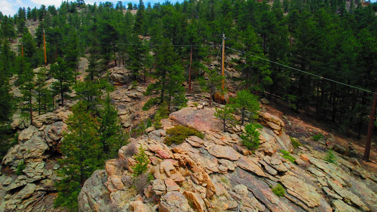 Aerial Drone Footage Of Colorado Mountain Goat Resting On Top Of Rocky Mountain Cliff In Alpine Landscape