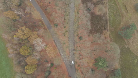 aerial of white car driving over small road surrounded by trees in autumn