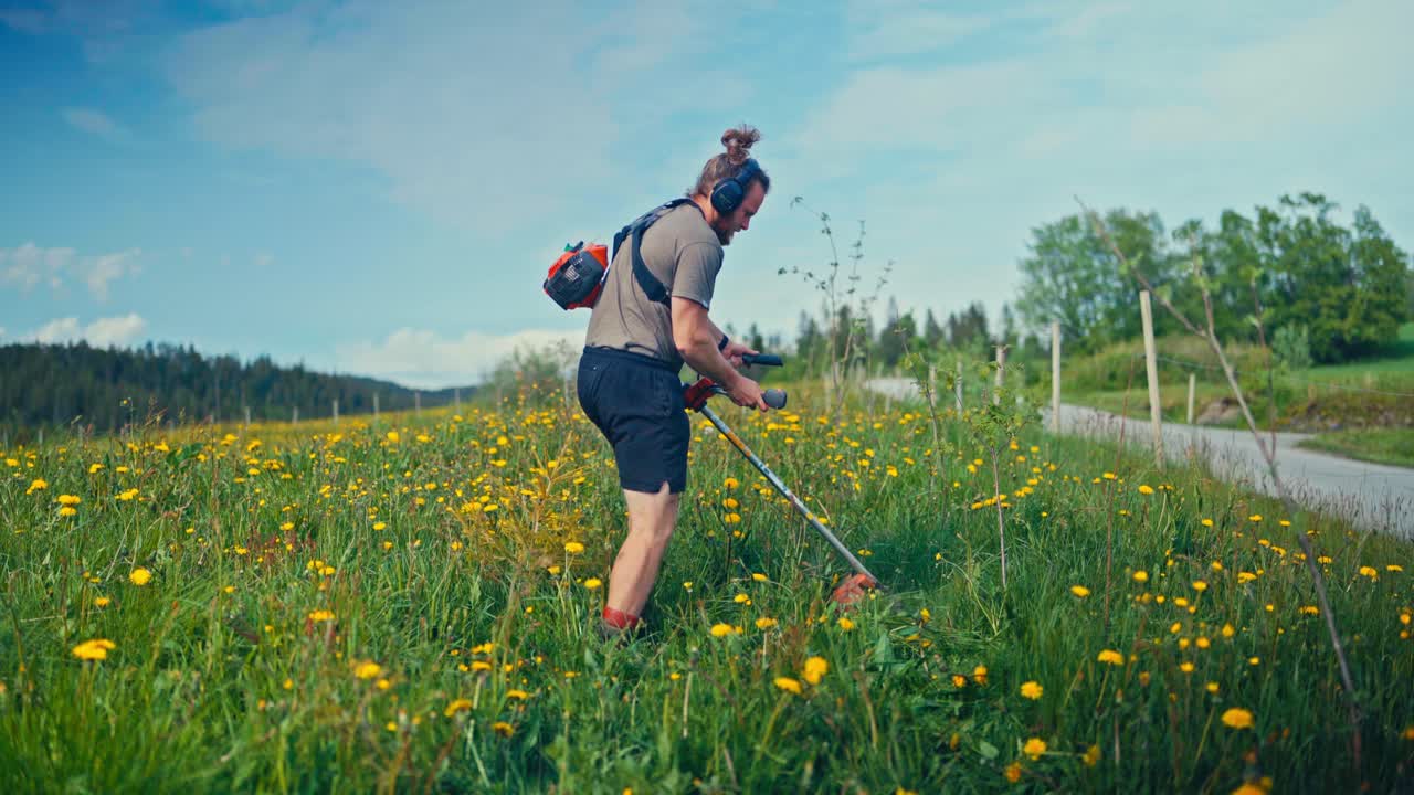 Caucasian Man Using Manual Hand Grass Cutter In Yellow Flower Fields Near Countryside. Static Shot