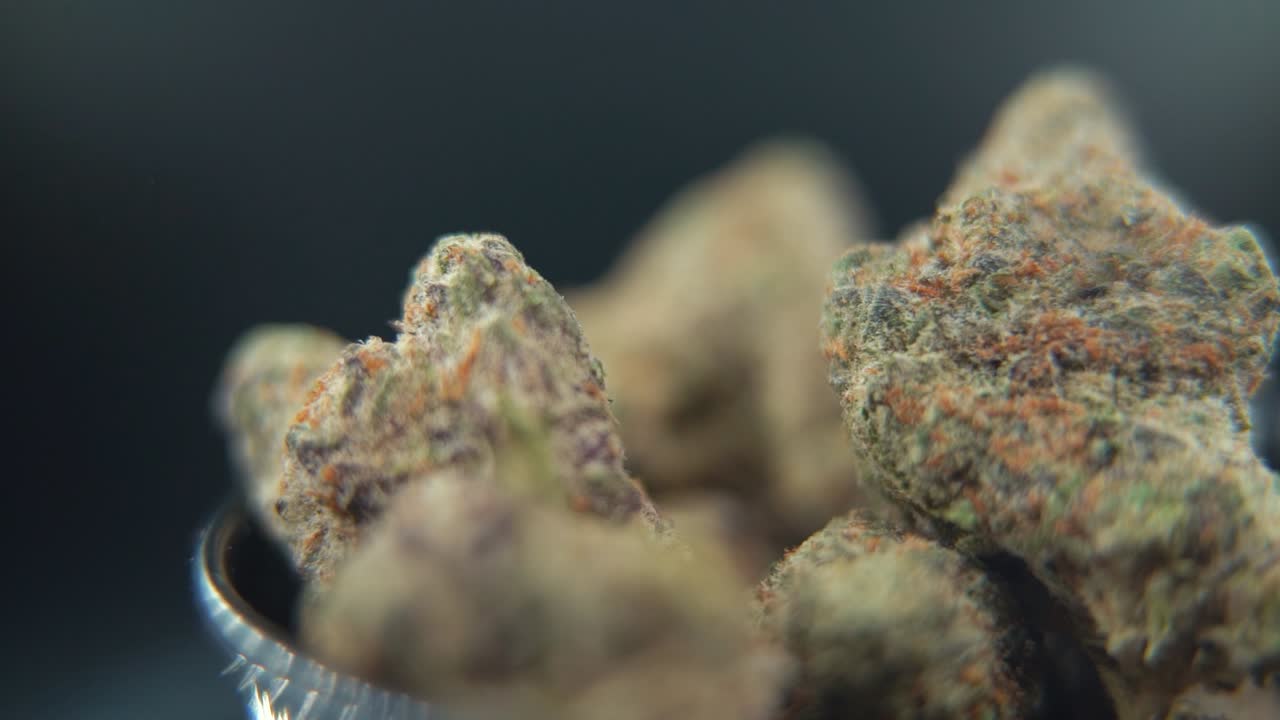 A macro close up shot of a cannabis plant, marijuana flower, purple hybrid strains, Indica and sativa, on a 360 rotating stand in a black shiny bowl, 120 fps slow motion Full HD, studio lighting flare