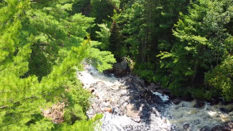 tree-height-level-reveal-of-a-mountain-stream-and-fast-flowing-water-near-a-small-waterfall