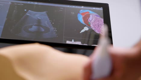 primer plano de un maniquí médico para exámenes de ultrasonido