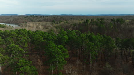 Bosque-De-Frondosas-De-Tierras-Bajas-En-El-Lago-Wedington-En-Arkansas,-Estados-Unidos