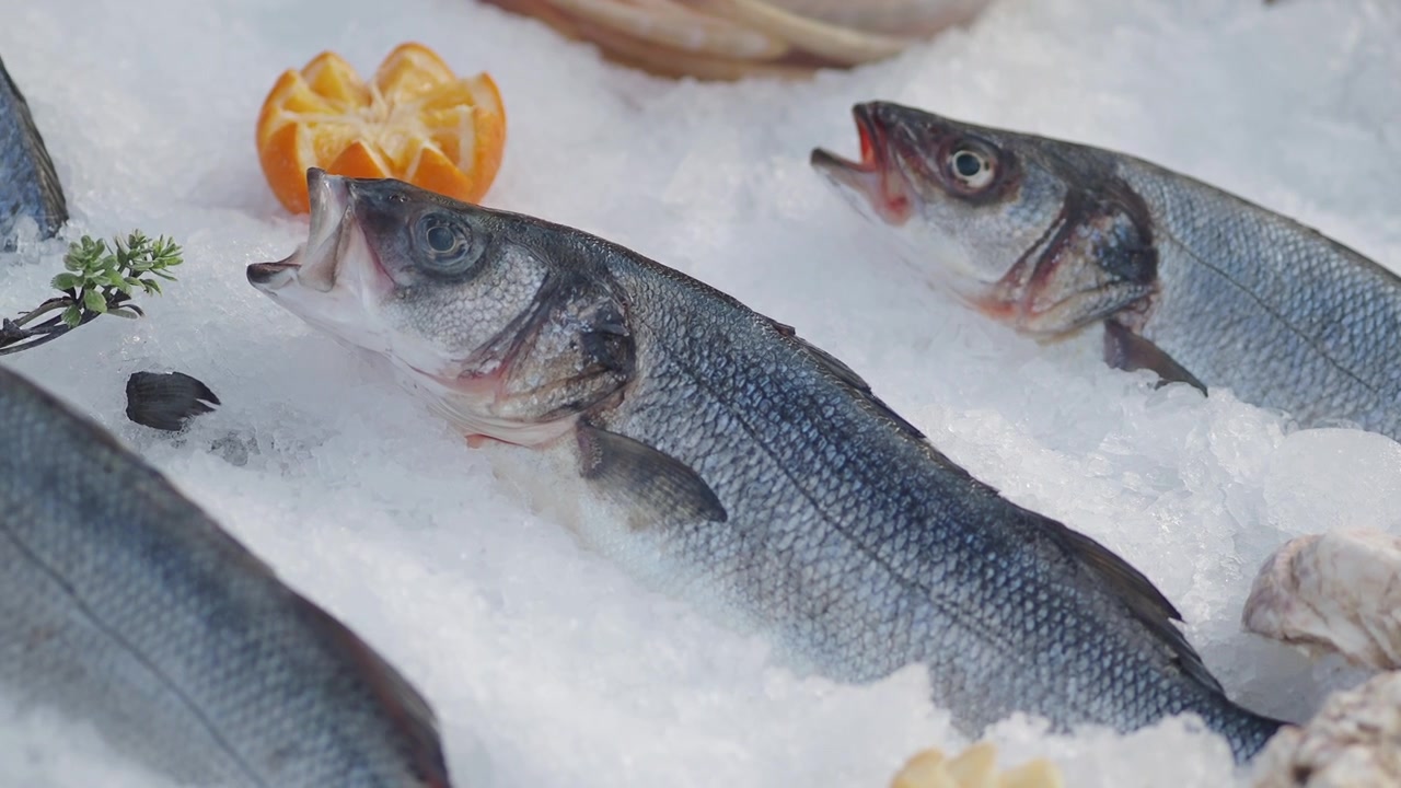 Robalo fresco e frutos do mar expostos no gelo em um mercado.