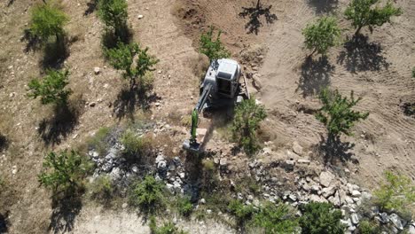 excavador trabajando en el jardín, máquina de trabajo vista de drone entre los árboles