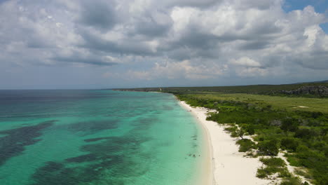 vista panorámica de un hermoso paisaje tropical, playa de arena y coral en el agua del mar del caribe