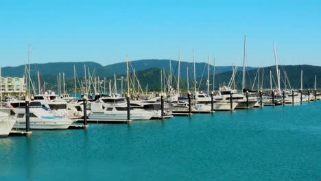 a variety of bats are moored in the tranquil waters off far north queensland's airlie beach which is the gateway to the beautiful whitsunday passage