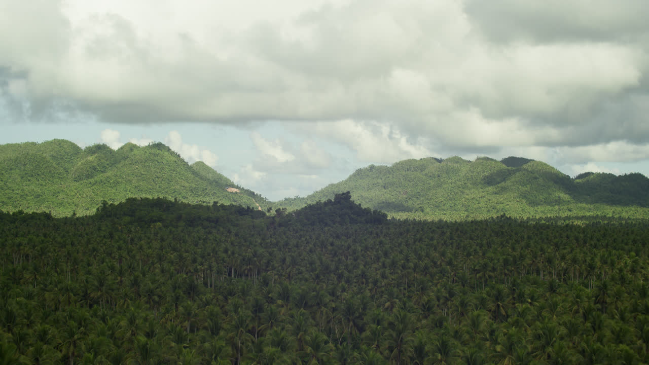 Passage of time on a cloudy but sunny day time lapse view of a coconut plantation in Siargao, Philippines.