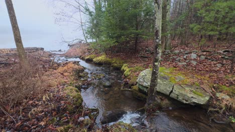 Stunning-little-woodland-stream-entering-a-foggy-mysterious-lake