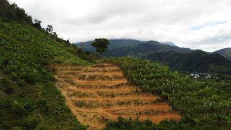 aerial of land on hill transformed for agriculture, vietnam