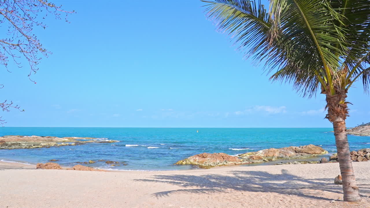 외딴 이국적인 섬, 푸른 하늘과 지평선, 풀 프레임에 있는 야자수와 열대 해변
