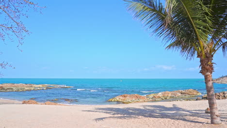 palmera y playa tropical en una remota isla exótica, cielo azul y horizonte, fotograma completo
